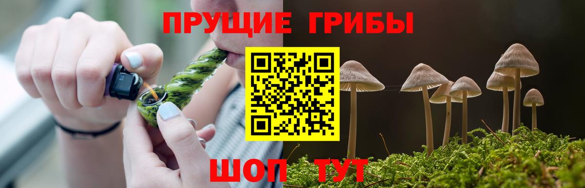 Майский  Псилоцибиновые грибы прущие грибы  Вход с VPN 